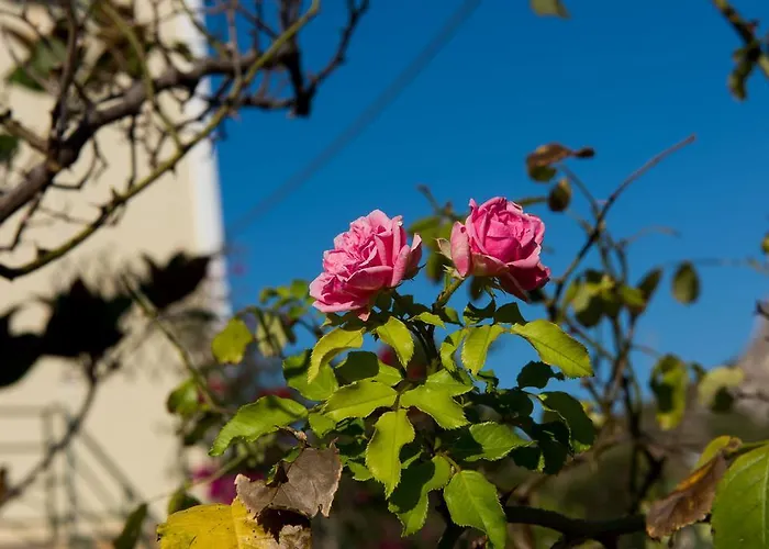 公寓 Maria's House