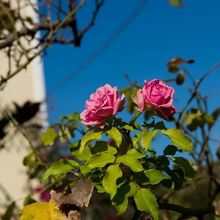 דירה Maria's House