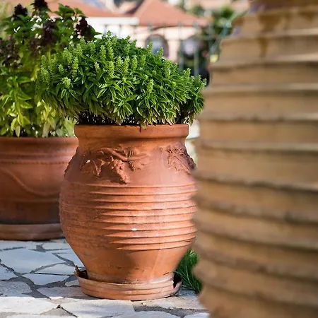 דירה Maria's House *