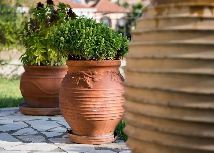 アパート Maria's House *